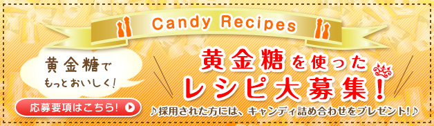 ��������Ȥä��쥷�����罸��