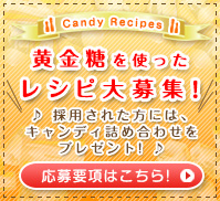 ��������Ȥä��쥷�����罸��